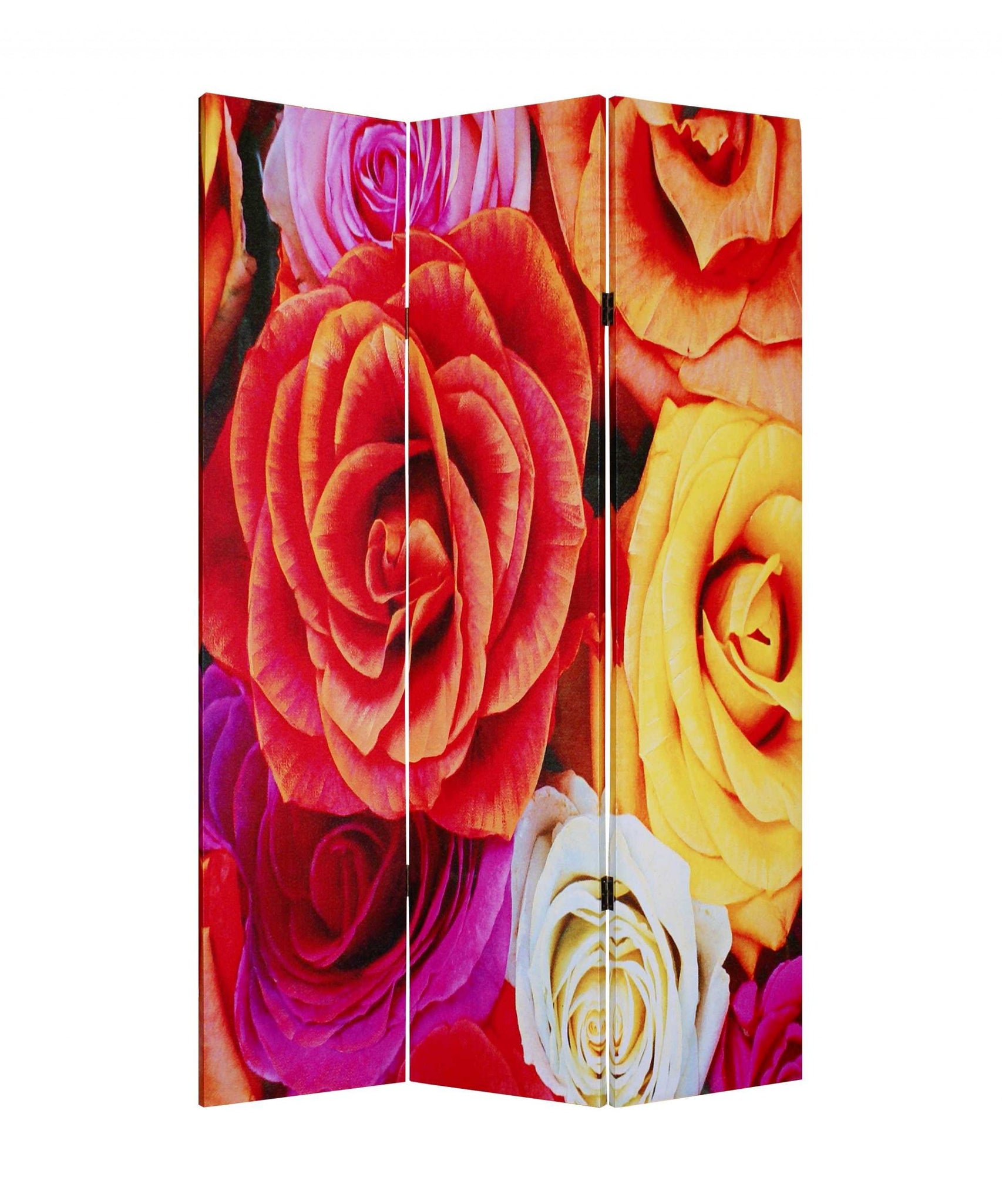 1 x 48 x 72 Multi Color Wood Canvas Daisy And Rose  Screen